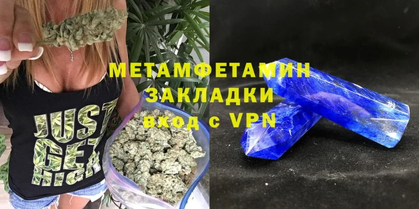 индика Бородино