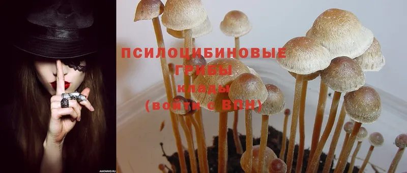 Галлюциногенные грибы MAGIC MUSHROOMS  Мыски 